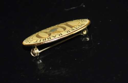 Collectible, Gold Tone Enamel 100 Year (1893-1993) Peter Rabbit F. Warne and Co Commemorative Brooch