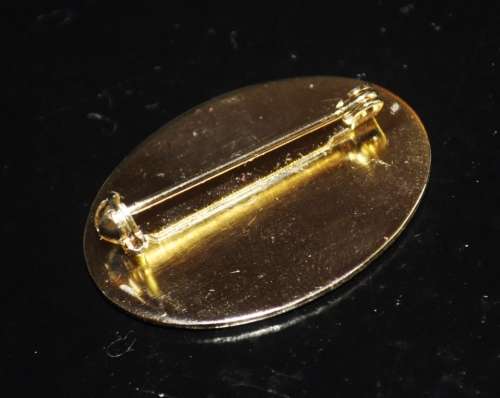 Collectible, Gold Tone Enamel 100 Year (1893-1993) Peter Rabbit F. Warne and Co Commemorative Brooch