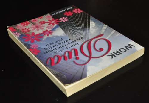 Work Diva by Kim Meredith ISBN 9781770200838