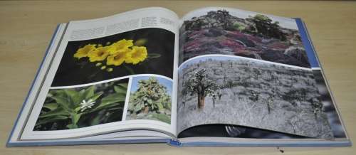 Galapagos The Lost Paradise by Peter Salwen ISBN 0792450914