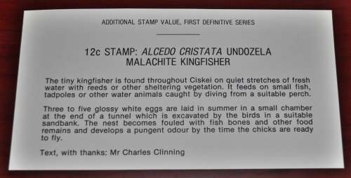 Kingfisher Ciskei 1985 First Day Cover