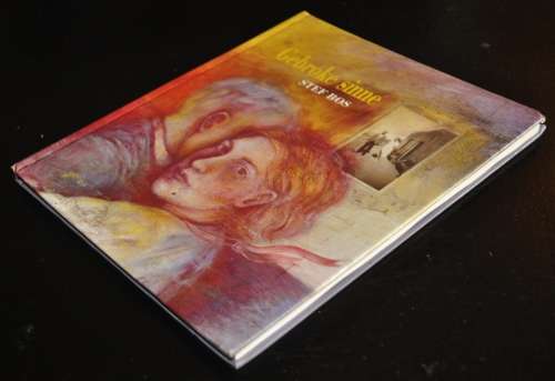 Gebroke Sinne by Stef Bos with illustrations by Marriana Booyen (ISBN 1920042016)