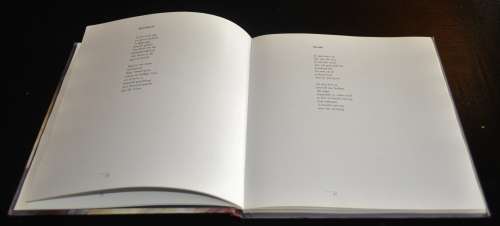 Gebroke Sinne by Stef Bos with illustrations by Marriana Booyen (ISBN 1920042016)