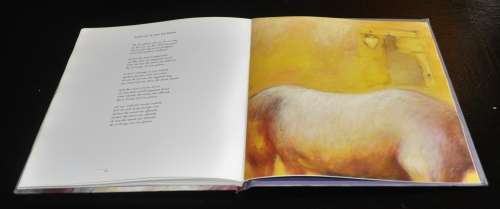 Gebroke Sinne by Stef Bos with illustrations by Marriana Booyen (ISBN 1920042016)