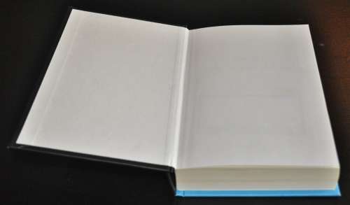 Spud - Exit, Pursued by a Bear by John van de Ruit (ISBN 9780143530398) Signed Limited Edition