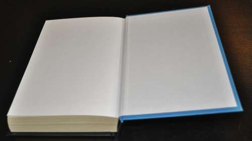 Spud - Exit, Pursued by a Bear by John van de Ruit (ISBN 9780143530398) Signed Limited Edition