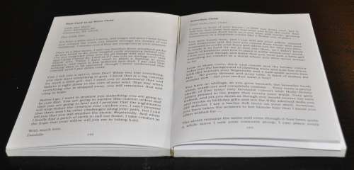 adder en angel narrative poetry and prose compiled by Myra Lochner (ISBN 9780986999758)