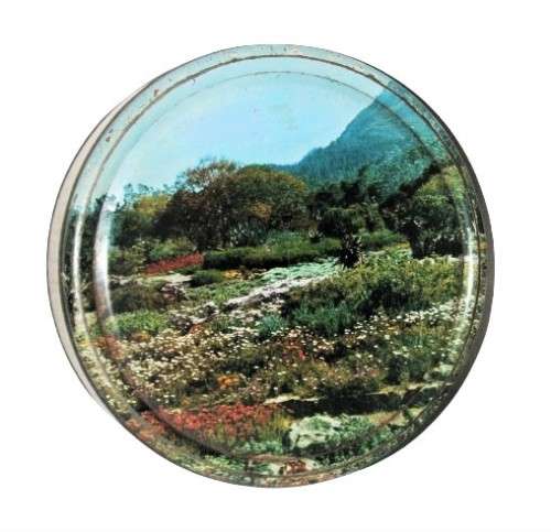 Vintage, Collectible Jacaranda Choice Assorted Biscuit Tin by Premium Biscuit Company