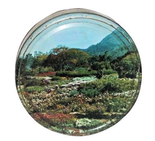 Vintage, Collectible Jacaranda Choice Assorted Biscuit Tin by Premium Biscuit Company