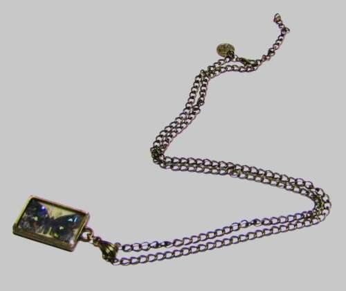 Vintage Antique Brass Tone Chain Necklace with Framed Butterfly Image set in resin