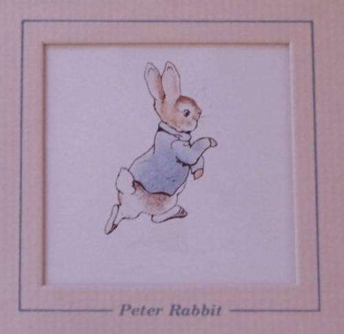Peter Rabbit mounted and framed print of the Illustration by Beatrix Potter