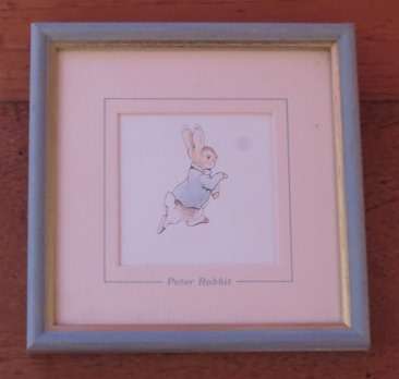 Peter Rabbit mounted and framed print of the Illustration by Beatrix Potter