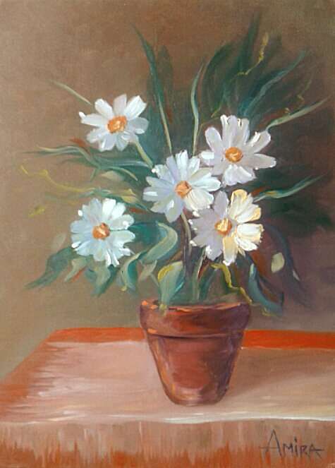 Daisies in Pot