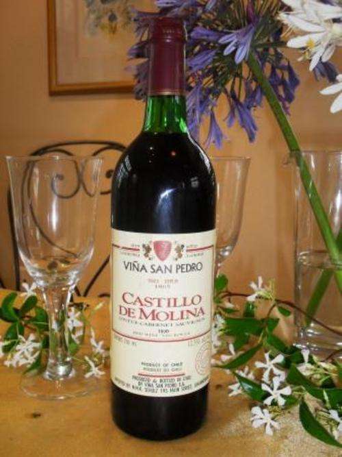 ***1990***Castillo de Molina - Chile***