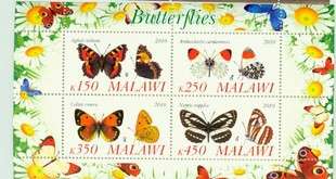 Malawi 2010 - Insects Butterfly Animal Fauna Butterflies Plants Flower Nature Stamps MNH (3)