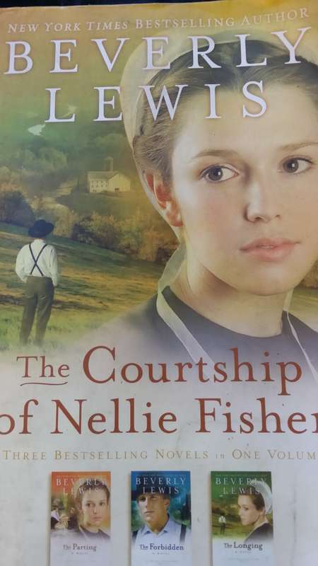BOOKS - The Courtship of Nellie Fisher - Beverly Lewis