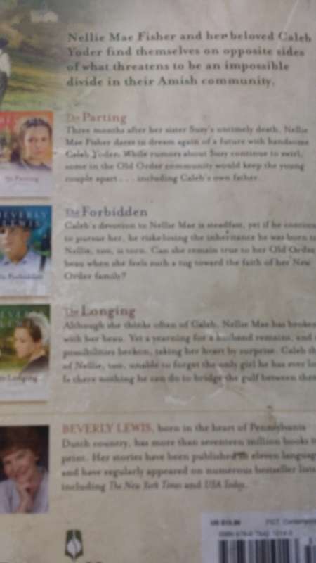 BOOKS - The Courtship of Nellie Fisher - Beverly Lewis