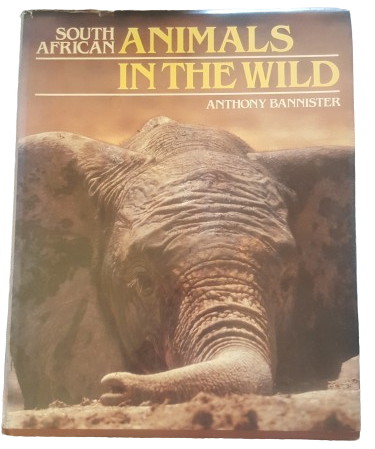 BOOKS South African Animals in the Wild - Anthony Bannister Illustrated