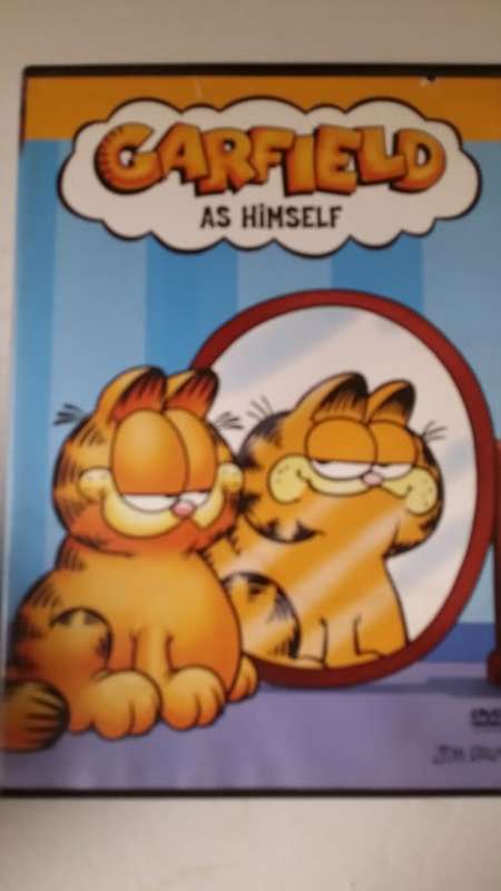 DVD - Garfield