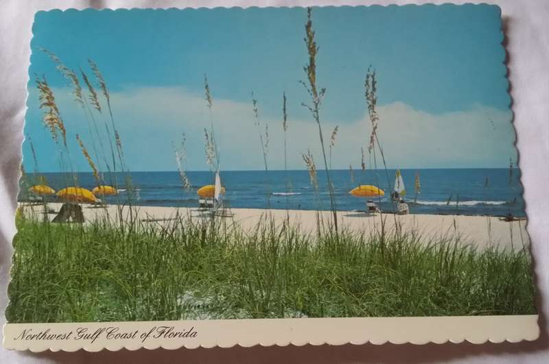 Postcard unused - Daulphin Island Bridge Alabama