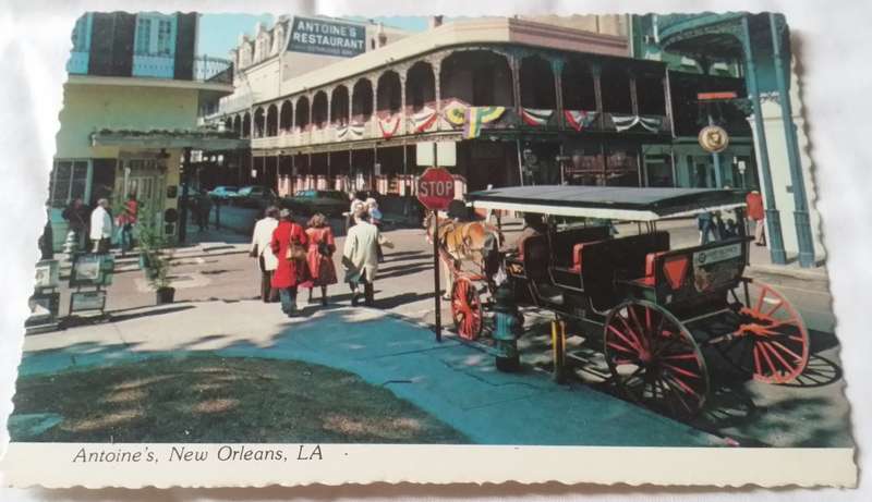 Postcard unused - Louisiana Antoine`s New Orleans