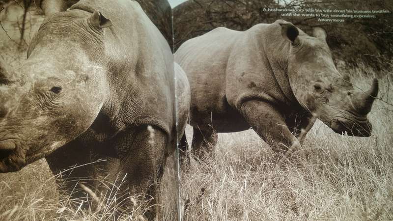 BOOKS - My Book ( Animal Photo`s ) Brian Joffe
