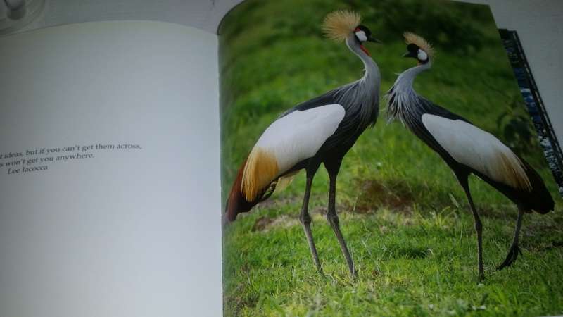 BOOKS - My Book ( Animal Photo`s ) Brian Joffe
