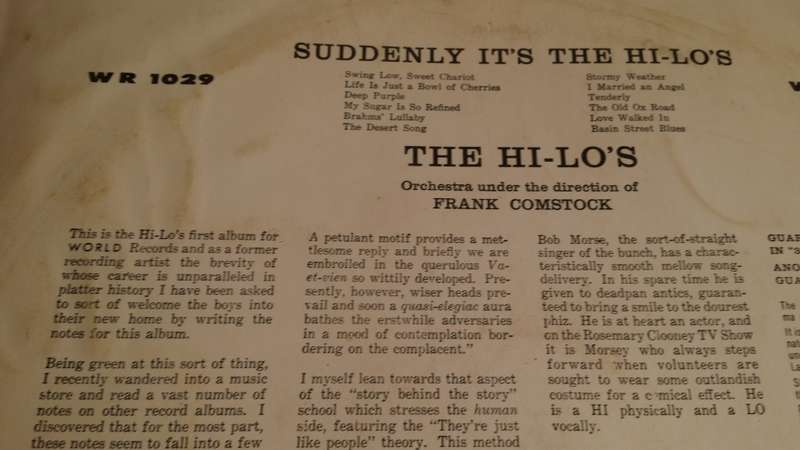 LP Vinyl Records - The Hi Lo`s