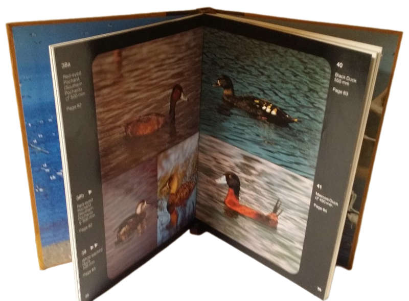 Books - Waterbirds of Southern Africa in Colour