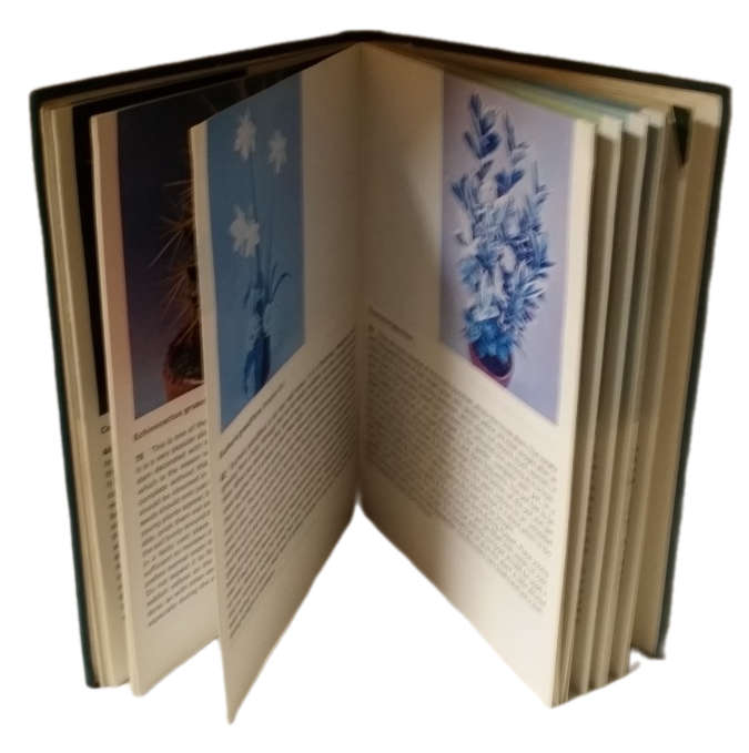 Books - 200 House Plants in Colour
