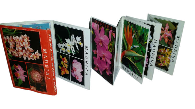 Vintage  unused -Fowers of Madeira
