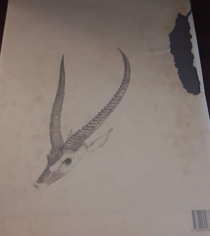 Books :    Portraits of the Game and Wild Animals of Southern Africa  1840