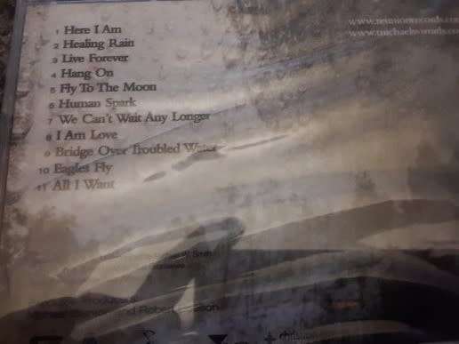 CD MUSIC  -  Micheal W Smith , healing rain