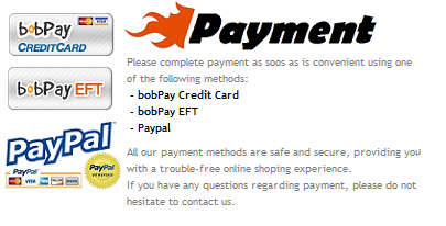 Payment