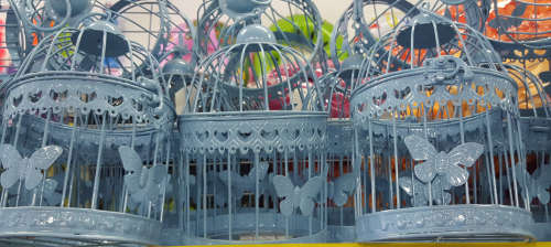 REDUCED TO CLEAR! Big Bird cage! View other clearance auctions!