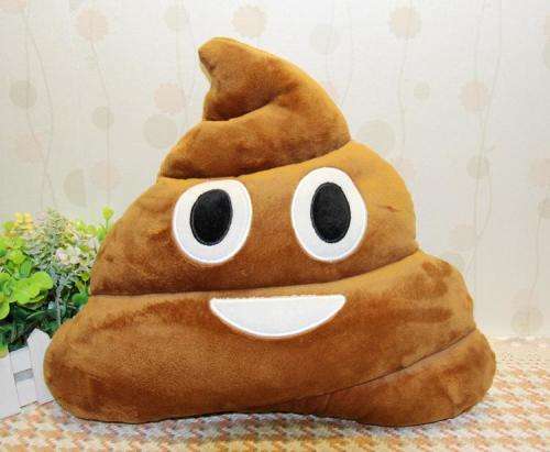 Modern big poo emoji cushion!! CLEARANCE SALE!!! View other clearance auctions!.