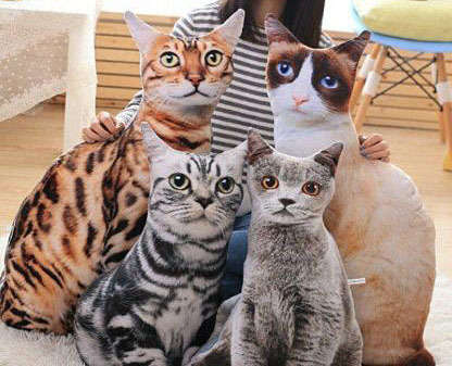 Modern cat cushion!! CLEARANCE SALE!!! View other clearance auctions!.