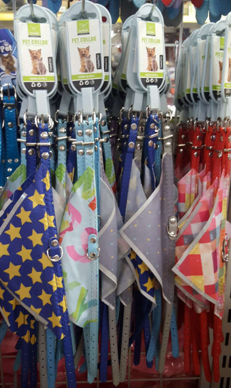 Small gorgeous dog collar! CRAZY weekend SALE!!!