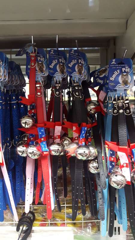 Pet collar with bell! CRAZY weekend SALE!!!