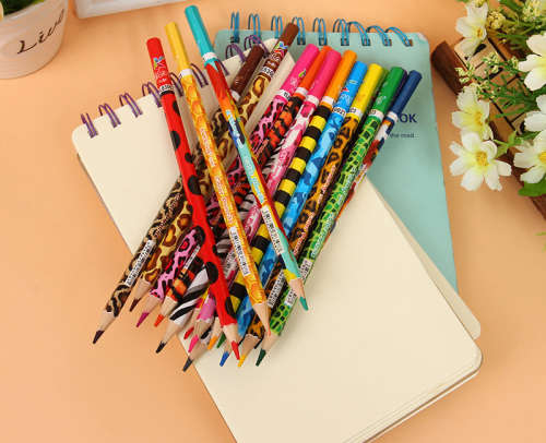 12 Piece Colour Pencils | Animal World