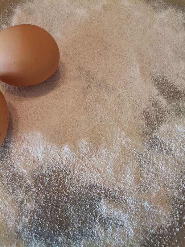 Premium Eggshell Powder Calcium