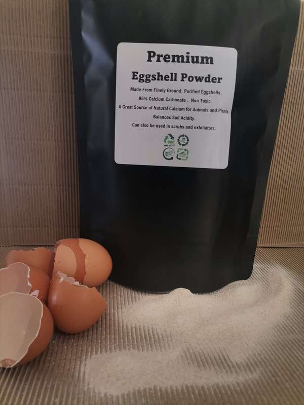 Premium Eggshell Powder Calcium