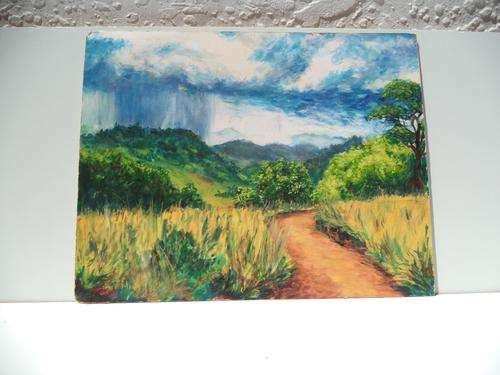 Picture frame- the Raparara valley Zimbabwe
