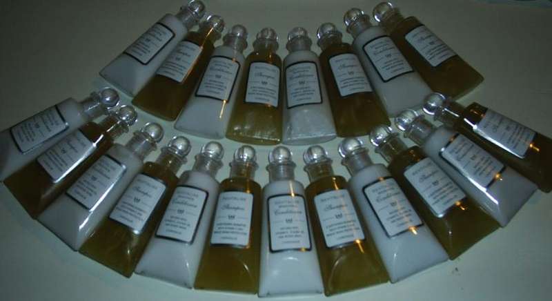 10 x Shampoo and Conditioner  (NEW) Travel Pack