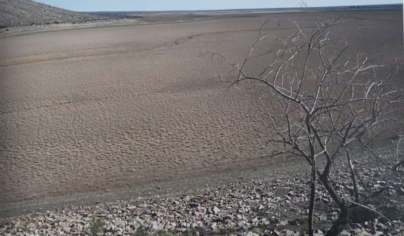 KAROO - LAND OF THIRST
