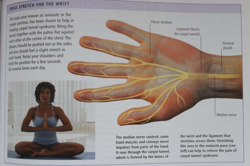 FAMILY GUIDE TO COMPLEMENTARY AND CONVENTIAL MEDICINE. By Prof. David Peters