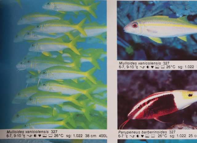 DR. BURGESS`S ATLAS OF MARINE AQUARIIUM FISHES.