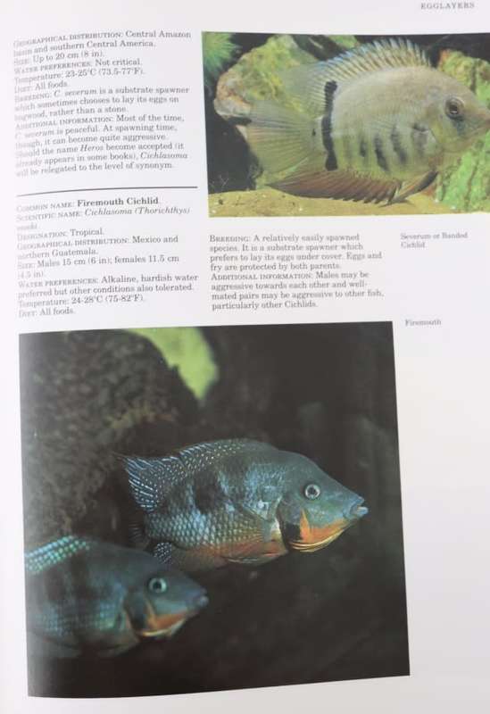 FRESHWATER AQUARIUM FISHES. BY John A Dawes