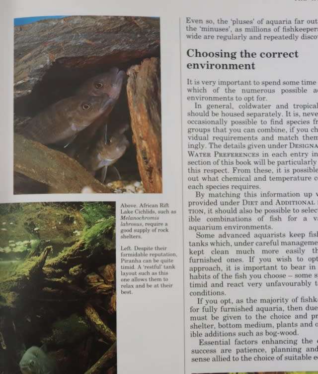 FRESHWATER AQUARIUM FISHES. BY John A Dawes