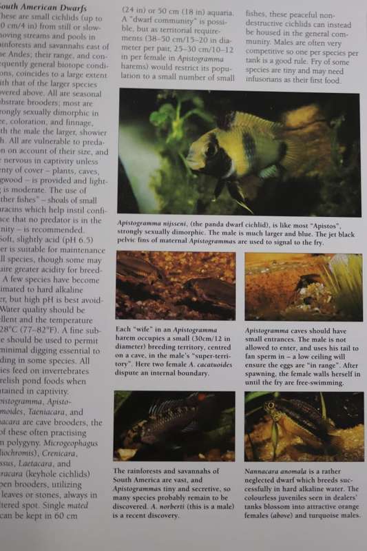 AQUARIUM FISH By M Bailey & G Sandford